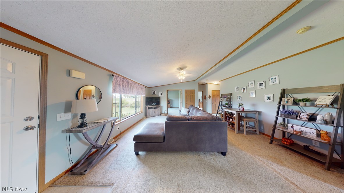 8855 Congress Road Lodi, OH 44254 - Photo 6 of 29 Gallery Image 6