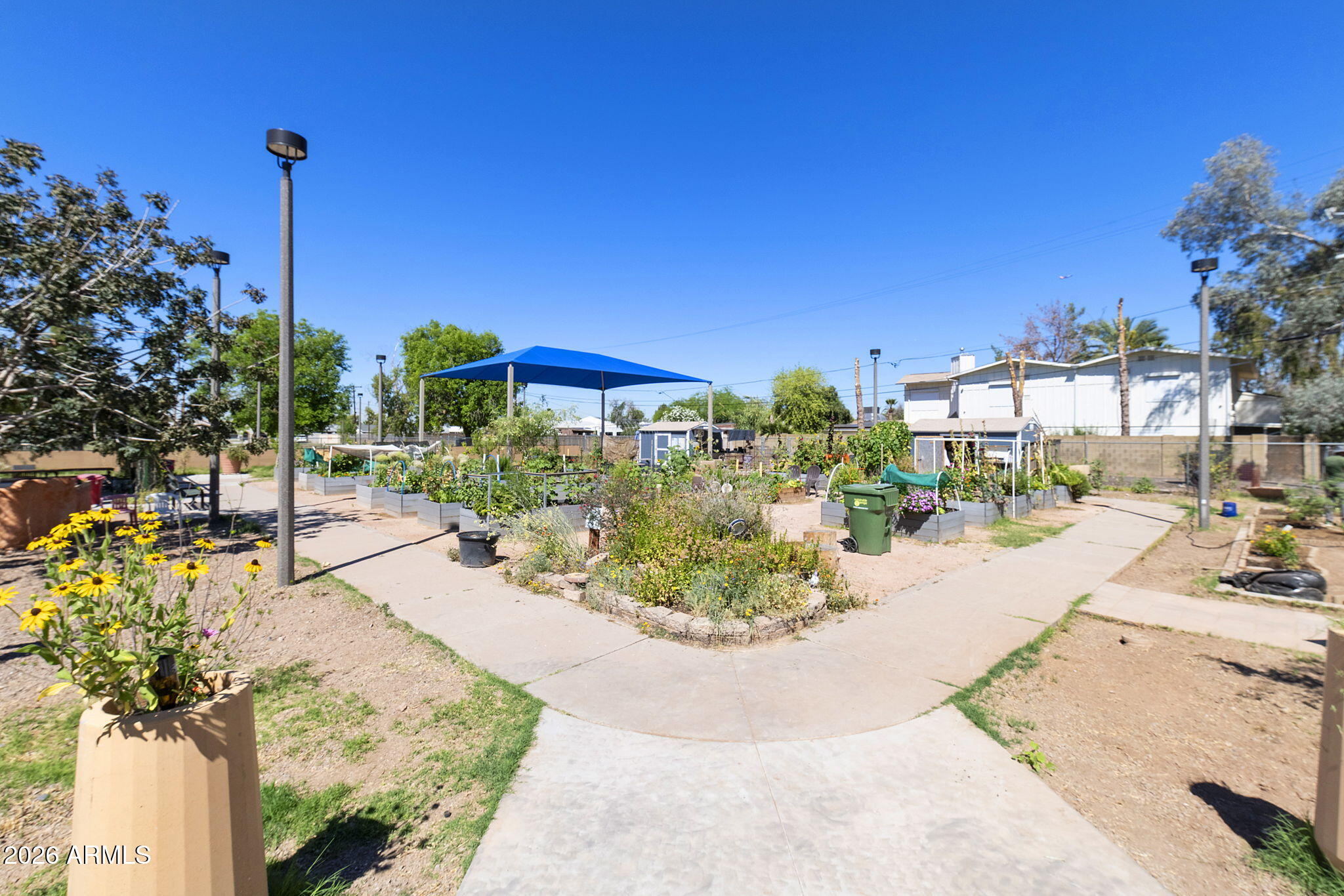 539 West 17th Street Tempe, AZ 85281 - Photo 22 of 32 Clark Park Community Garden