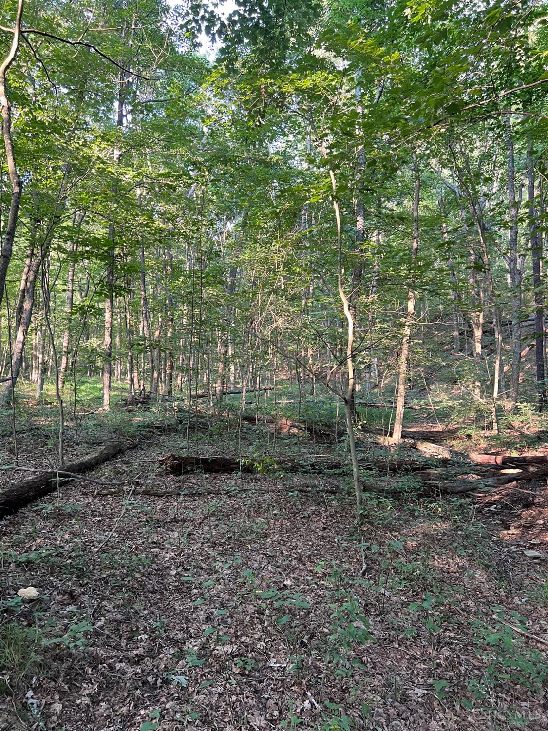 0 Tabernacle Road Chillicothe, OH 45601 - Photo 36 of 64