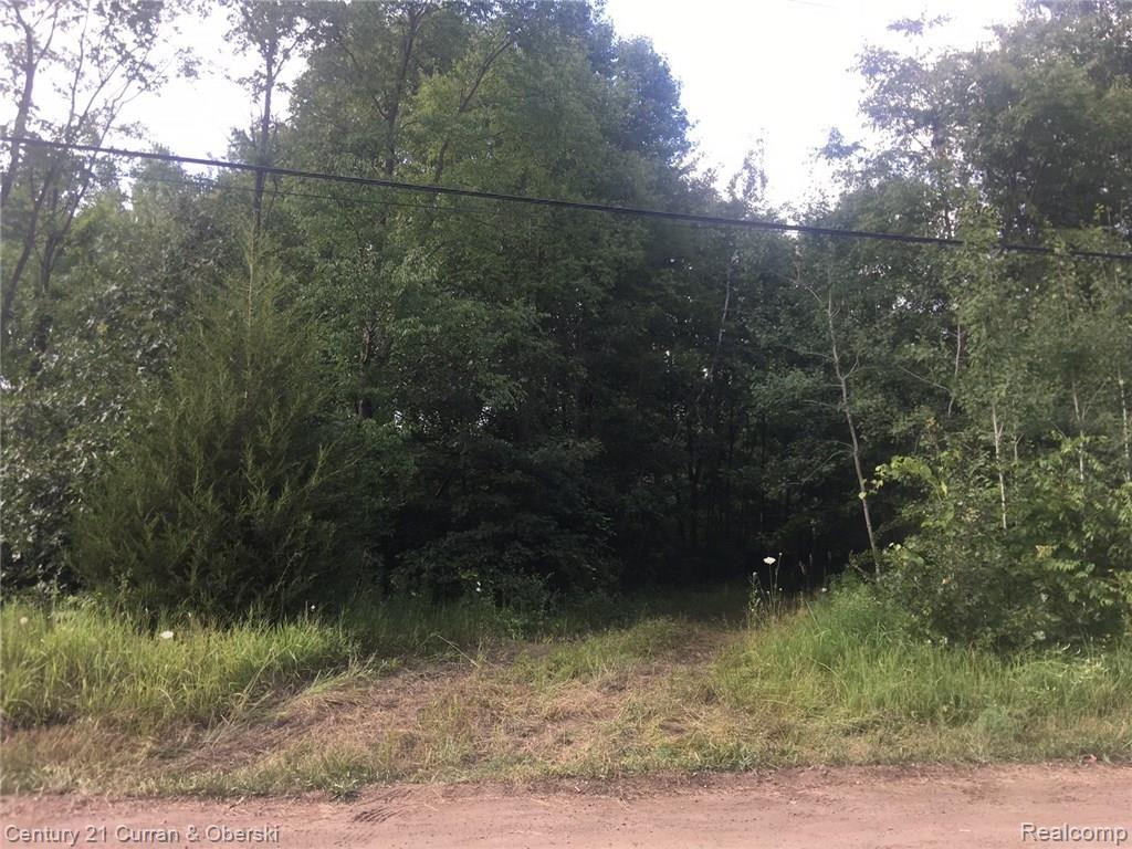 46000 Arkona Road Belleville, MI 48111 - Photo 10 of 11 Gallery Image 10