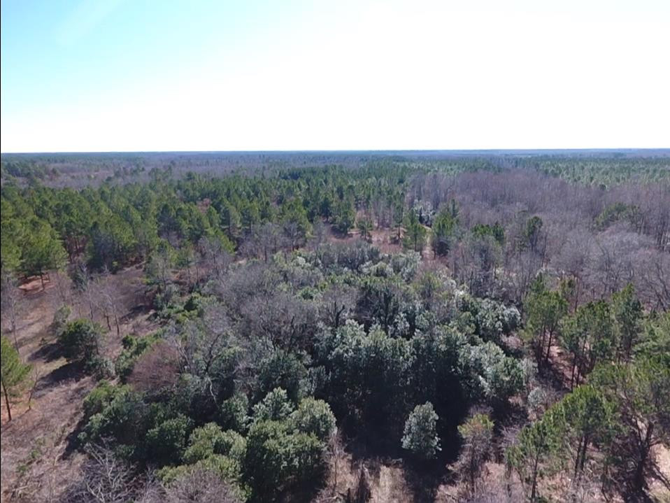 0 McLaurin Road Wedgefield, SC 29168 - Photo 8 of 15 Gallery Image 8