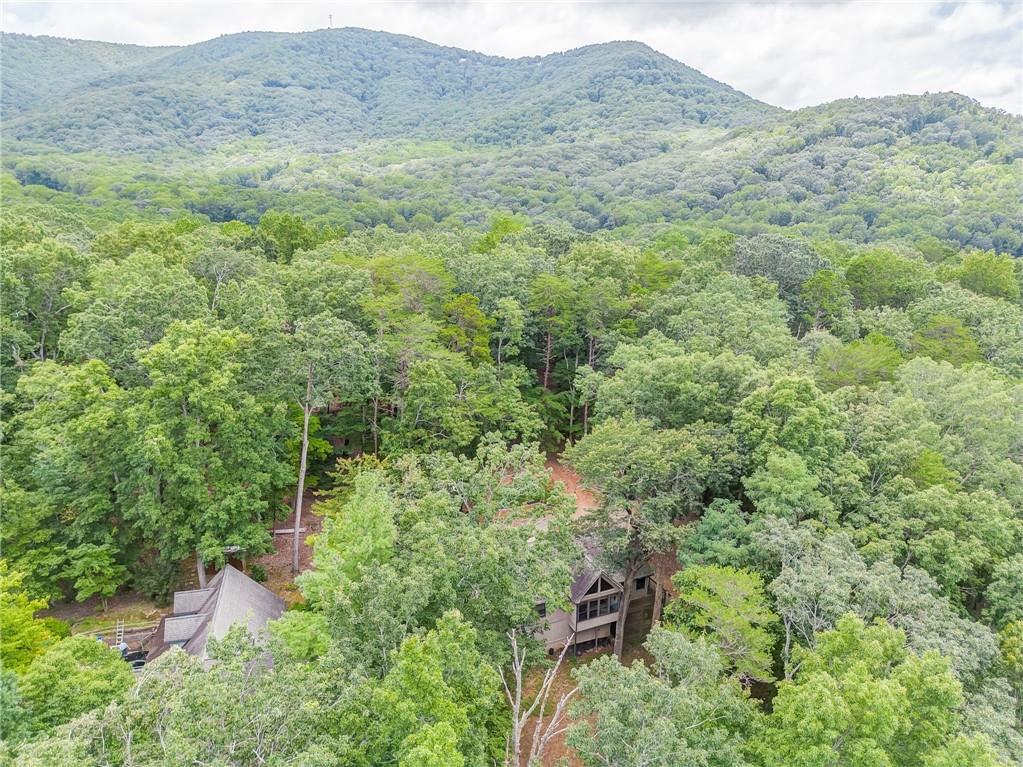 264 Fox Den Circle Jasper, GA 30143 - Photo 44 of 57