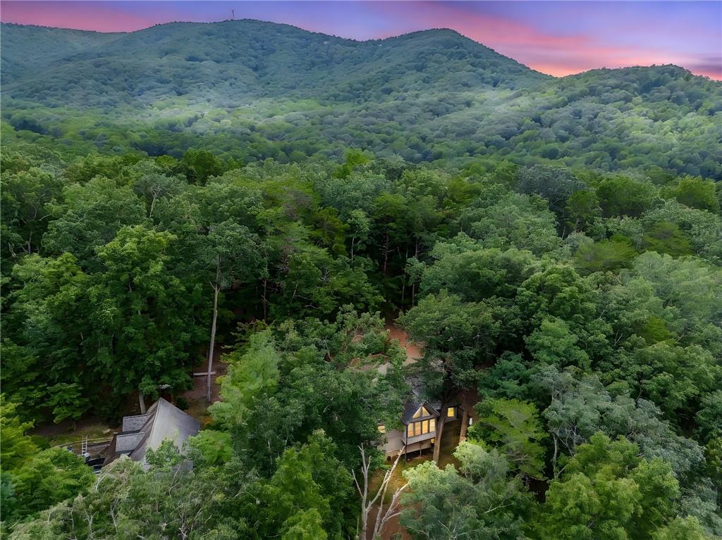 264 Fox Den Circle Jasper, GA 30143 - Photo 8 of 57