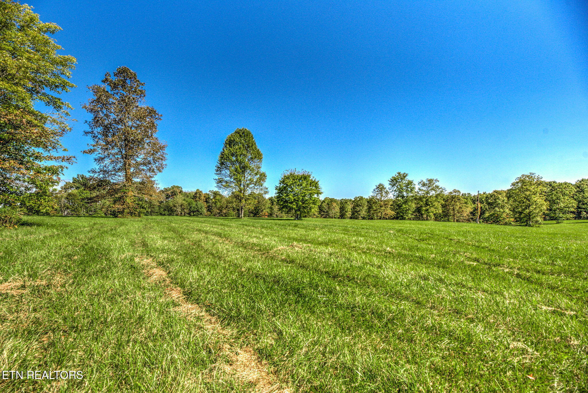 1423 Meister Hills Road Deer Lodge, TN 37726 - Photo 11 of 14 11