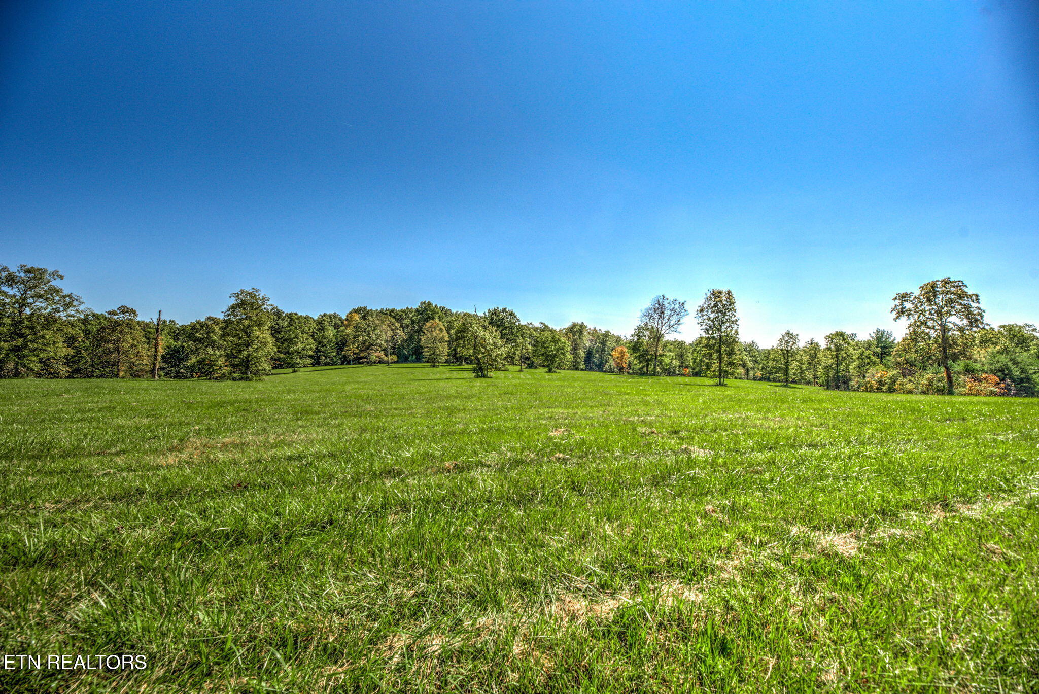 1423 Meister Hills Road Deer Lodge, TN 37726 - Photo 12 of 14 12