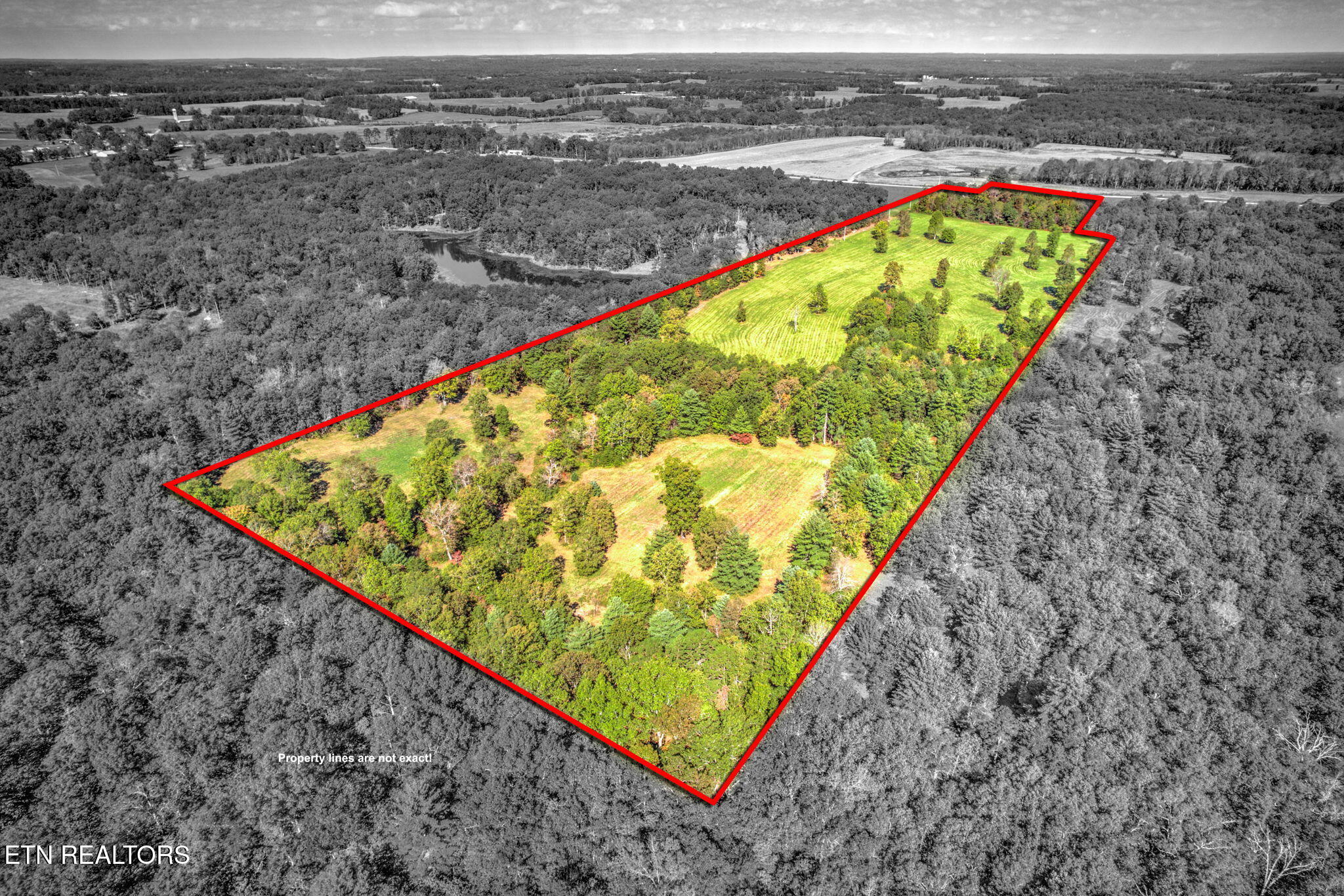 1423 Meister Hills Road Deer Lodge, TN 37726 - Photo 5 of 14 5