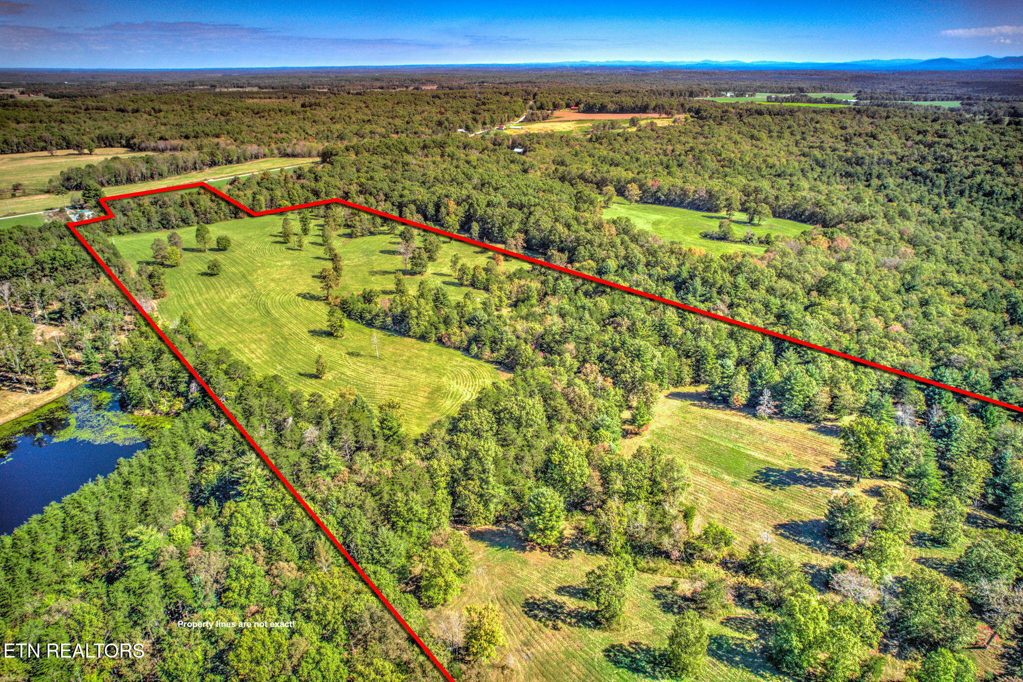 1423 Meister Hills Road Deer Lodge, TN 37726 - Photo 8 of 14 8