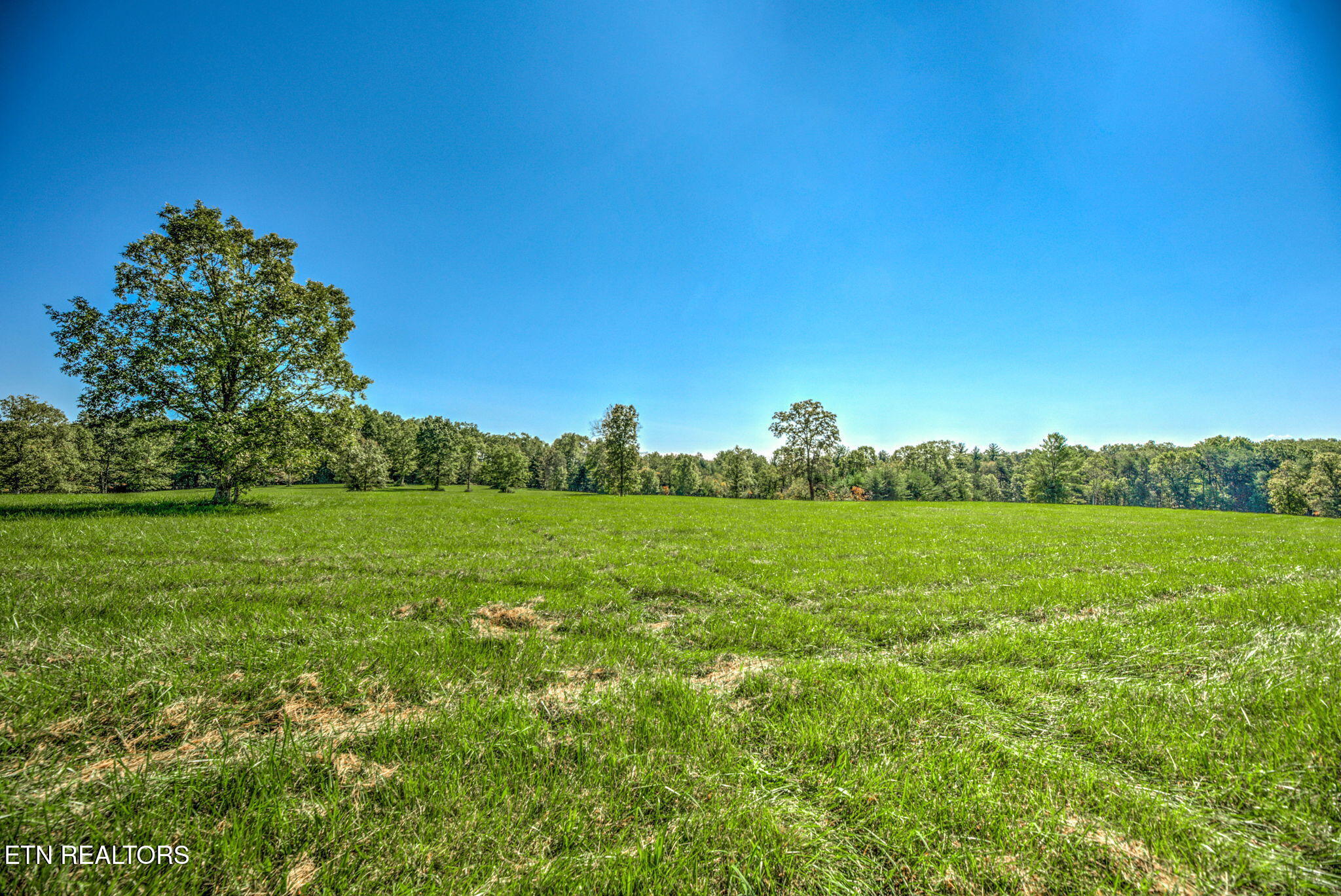 1423 Meister Hills Road Deer Lodge, TN 37726 - Photo 10 of 14 10