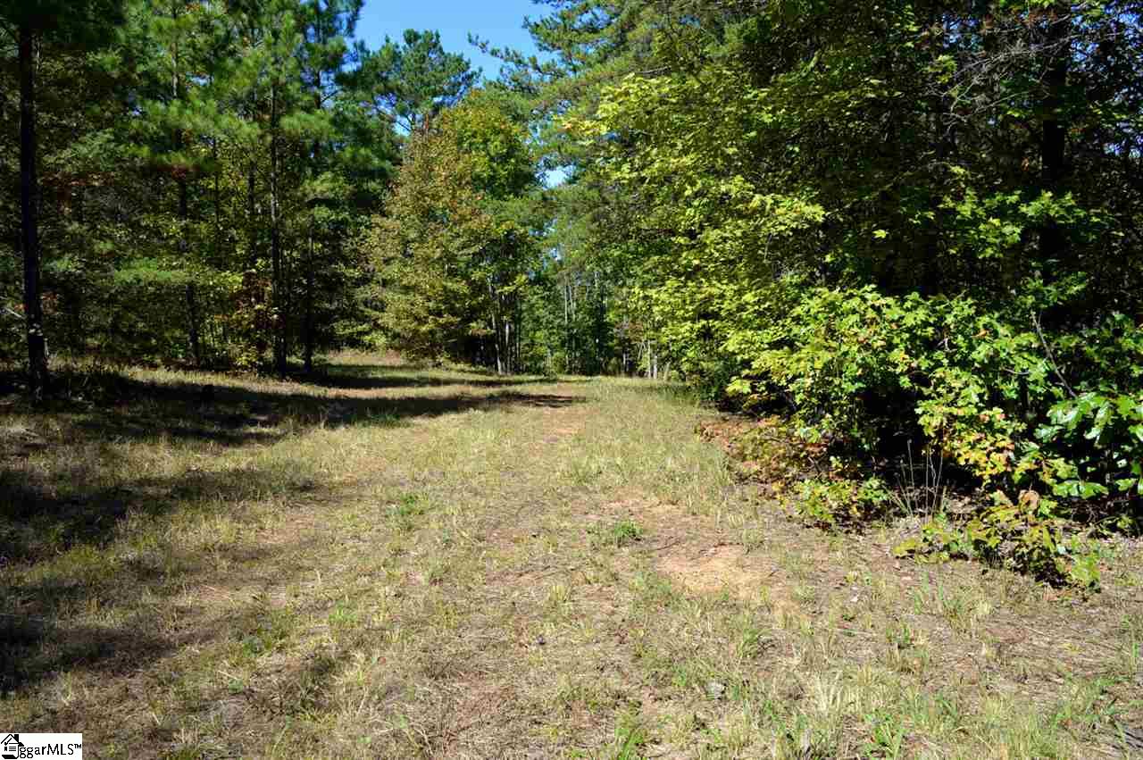 0 Sunny View Drive Rutherfordton, NC 28139 - Photo 2 of 15