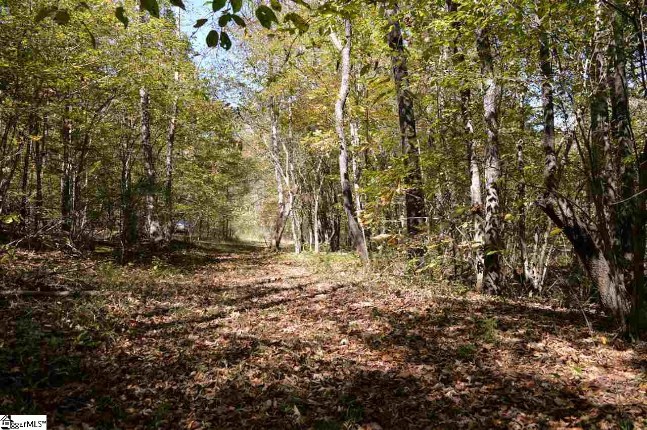 0 Sunny View Drive Rutherfordton, NC 28139 - Photo 12 of 15