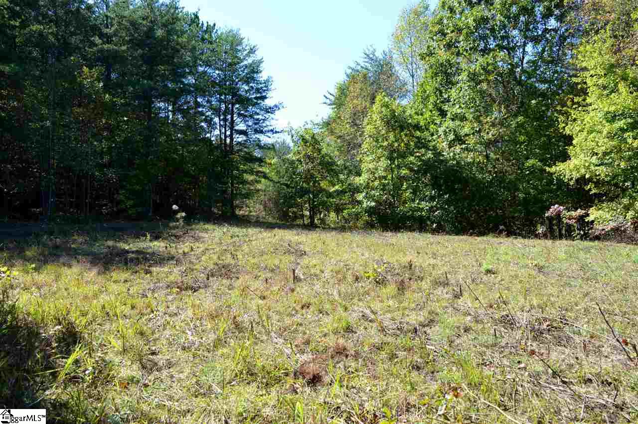 0 Sunny View Drive Rutherfordton, NC 28139 - Photo 3 of 15