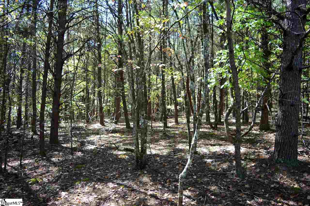 0 Sunny View Drive Rutherfordton, NC 28139 - Photo 5 of 15