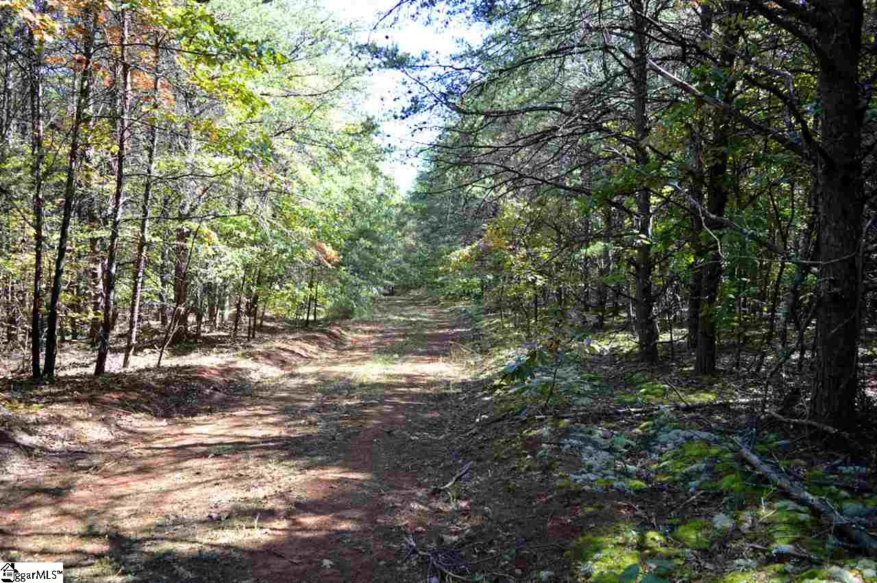 0 Sunny View Drive Rutherfordton, NC 28139 - Photo 6 of 15