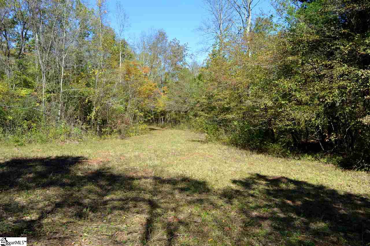 0 Sunny View Drive Rutherfordton, NC 28139 - Photo 7 of 15