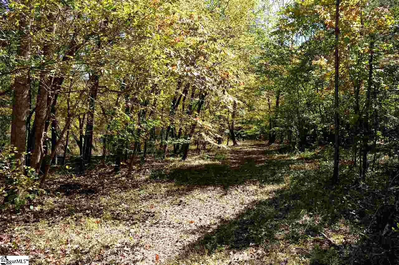 0 Sunny View Drive Rutherfordton, NC 28139 - Photo 10 of 15
