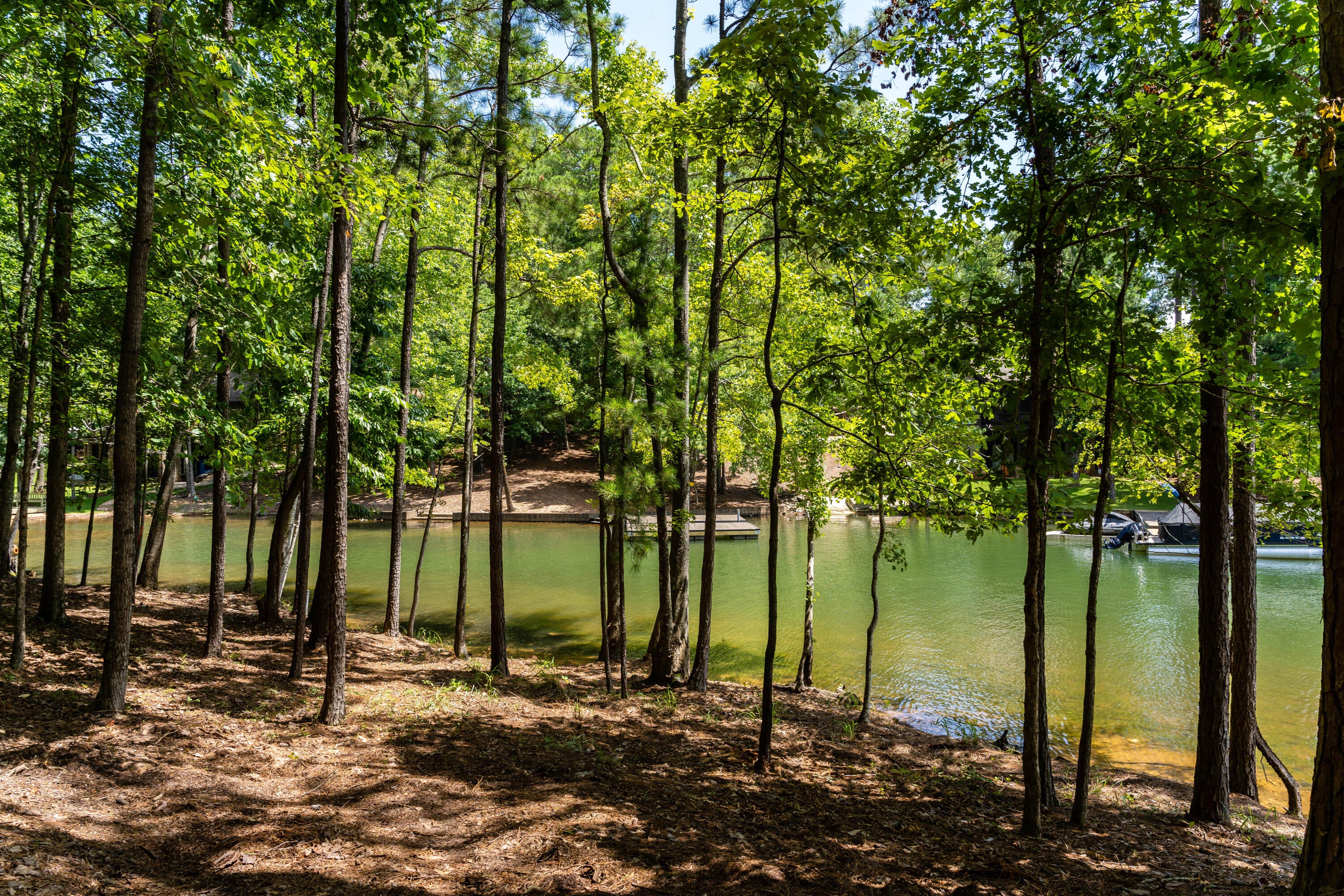 81 East Ridge Alexander City, AL 35010 - Photo 1 of 1 Gallery Image 1