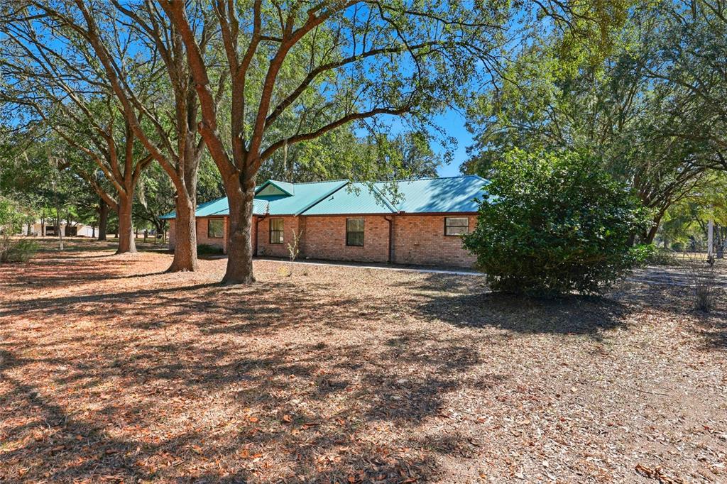 534 Southwest Thorne Lane Fort White, FL 32038 - Photo 4 of 51 a view of a yard with a tree
