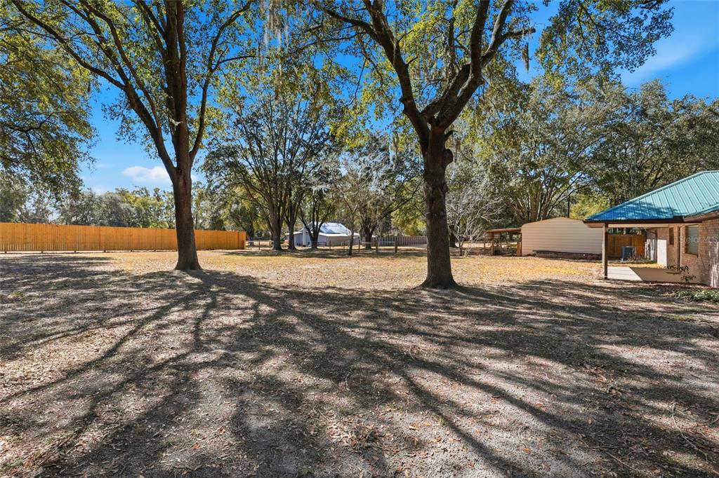 534 Southwest Thorne Lane Fort White, FL 32038 - Photo 45 of 51 a view of road with trees