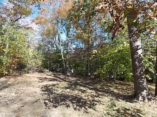 4334 Earnhardt Road Asheboro, NC 27205 - Photo 21 of 22