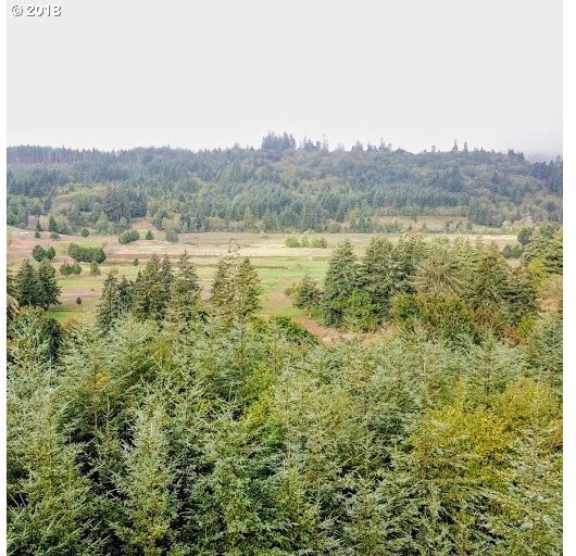 0 Coos-Sumner Road Coos Bay, OR 97420 - Photo 2 of 6 Gallery Image 2