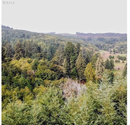 0 Coos-Sumner Road Coos Bay, OR 97420 - Photo 3 of 6 Gallery Image 3