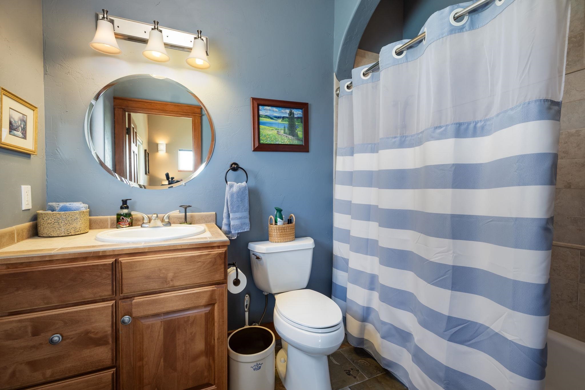 759-36 36 3/10 Road Palisade, CO 81526 - Photo 20 of 39 a bathroom with a sink mirror and toilet