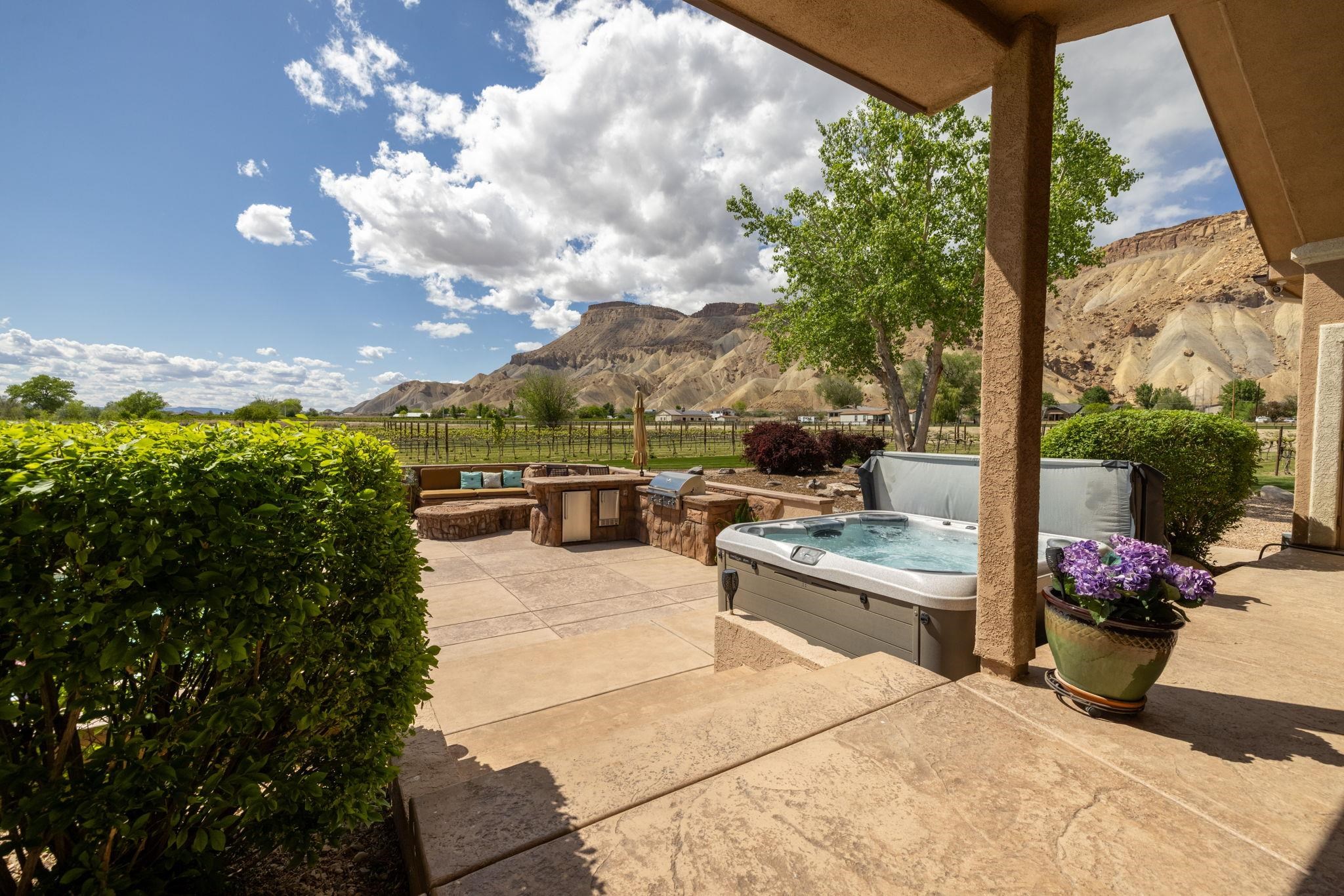 759-36 36 3/10 Road Palisade, CO 81526 - Photo 28 of 39 a view of a patio with couches and table and chairs and potted plants