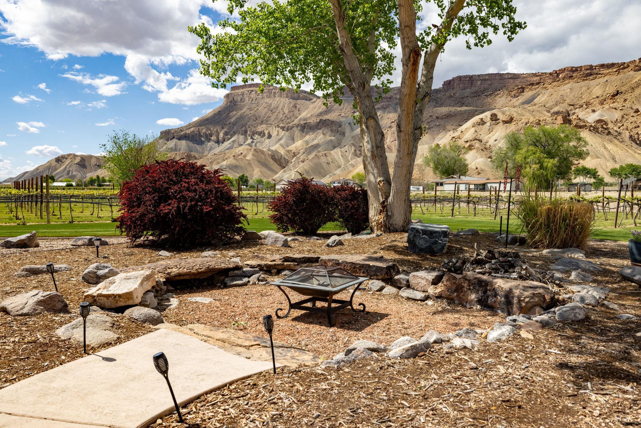 759-36 36 3/10 Road Palisade, CO 81526 - Photo 31 of 39 a view of backyard with wooden fence and trees