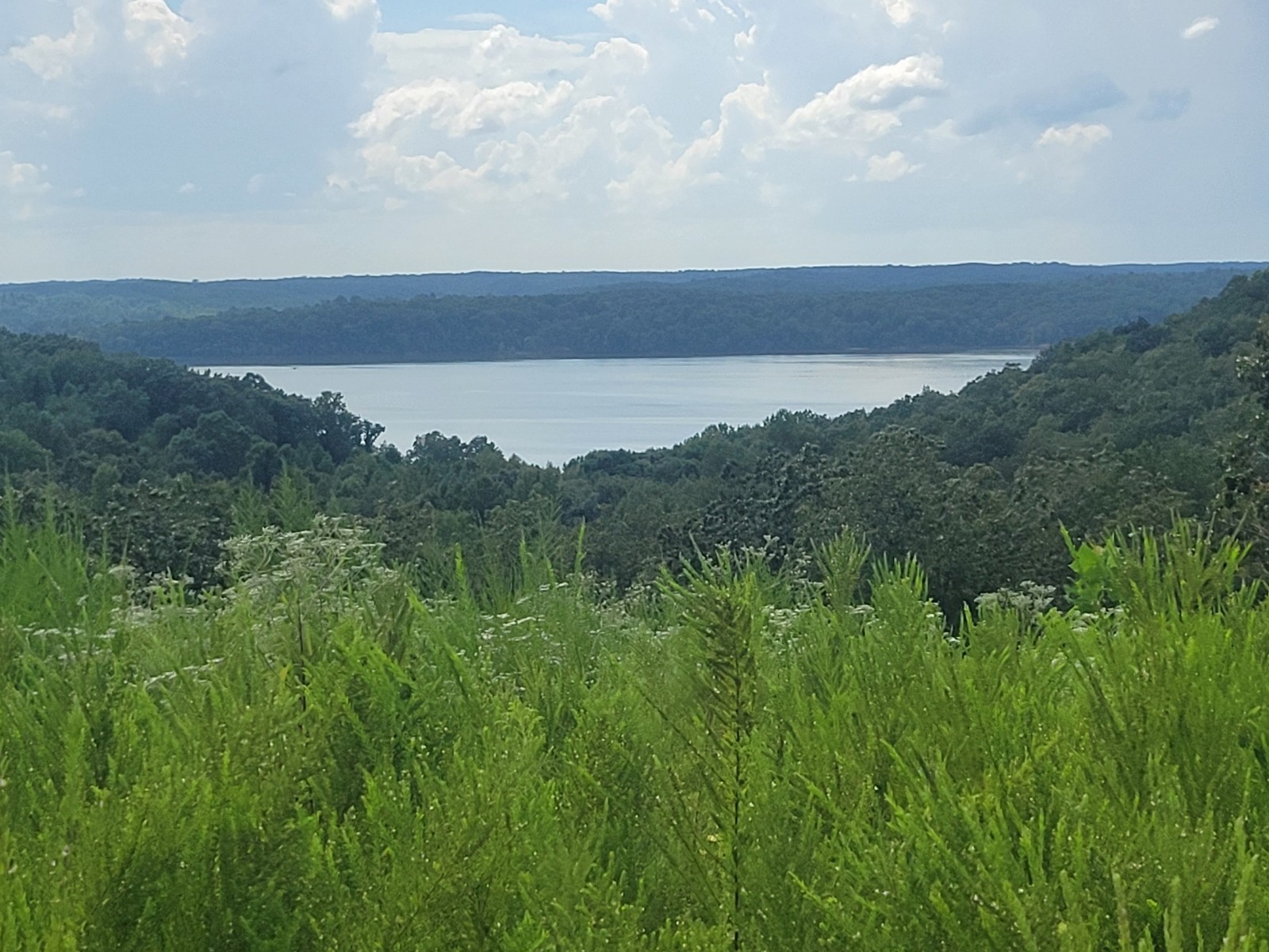 0 Lake Ridge Drive Stewart, TN 37175 - Photo 1 of 1 a view of a lush green field with lots of bushes