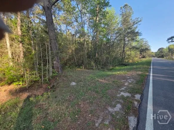 $195,000 | 0 Bill Carter Road, Midway, GA 31320