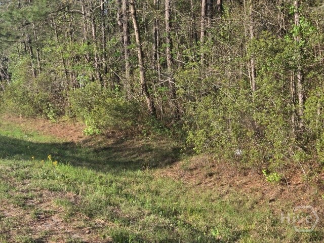 0 Bill Carter Road Midway, GA 31320 - Photo 3 of 5