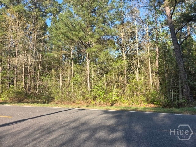 0 Bill Carter Road Midway, GA 31320 - Photo 4 of 5