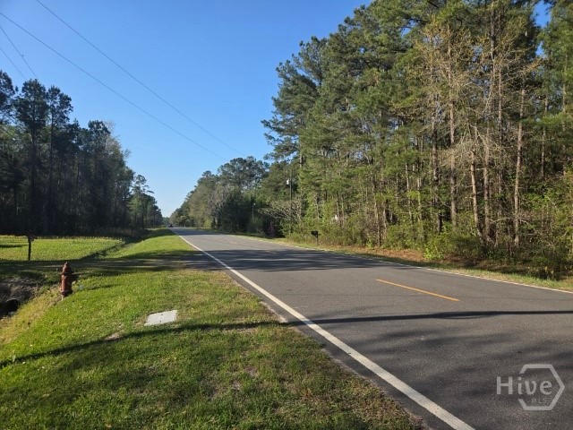 0 Bill Carter Road Midway, GA 31320 - Photo 5 of 5