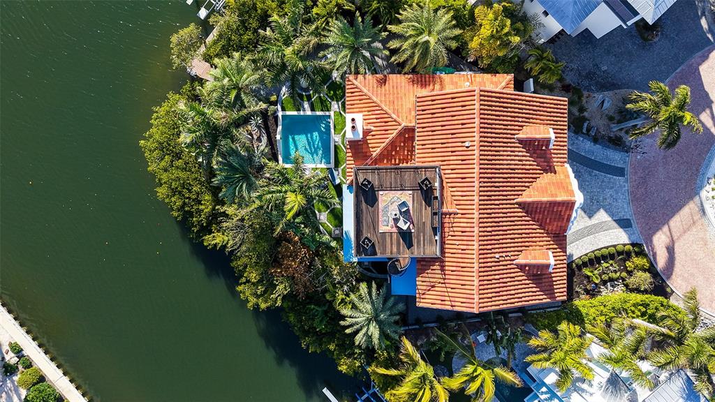 513 Villa Rosa Way Anna Maria, FL 34216 - Photo 34 of 57 a view of a backyard with plants