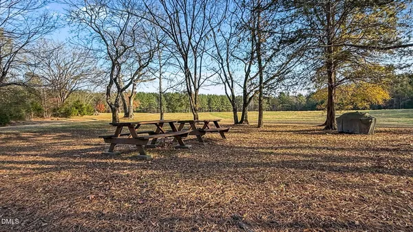 a view of a park with bench and trees
