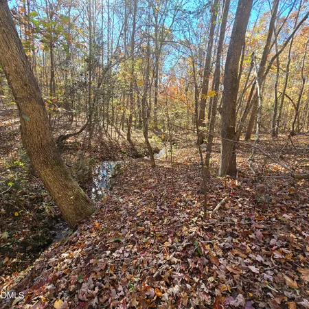 a view of a yard with large trees