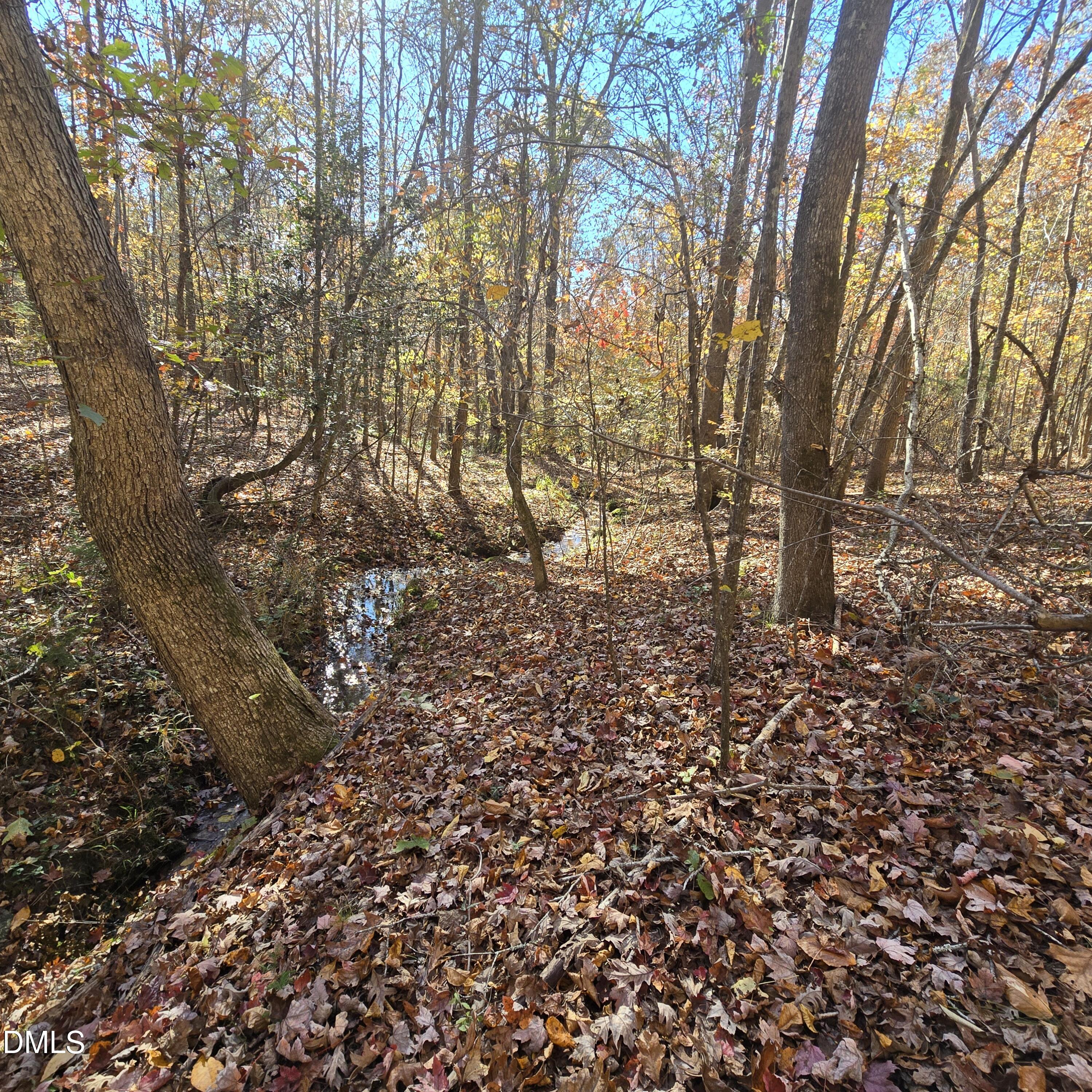 868 Julie McKnight Road Kittrell, NC 27544 - Photo 50 of 54 a view of a yard with large trees