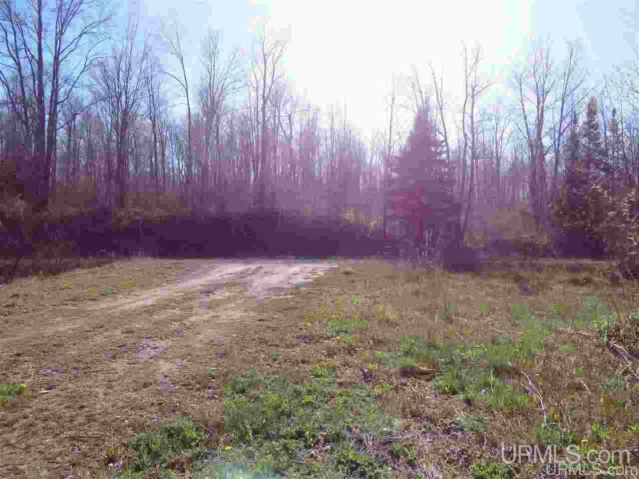 Tbd Silver Falls Road Lanse, MI 49946 - Photo 8 of 19 Gallery Image 8