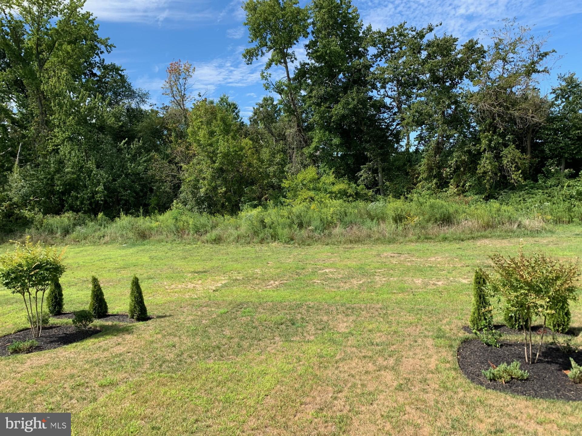 142 Case Road Townsend, DE 19734 - Photo 18 of 20 Typical
Back Yard