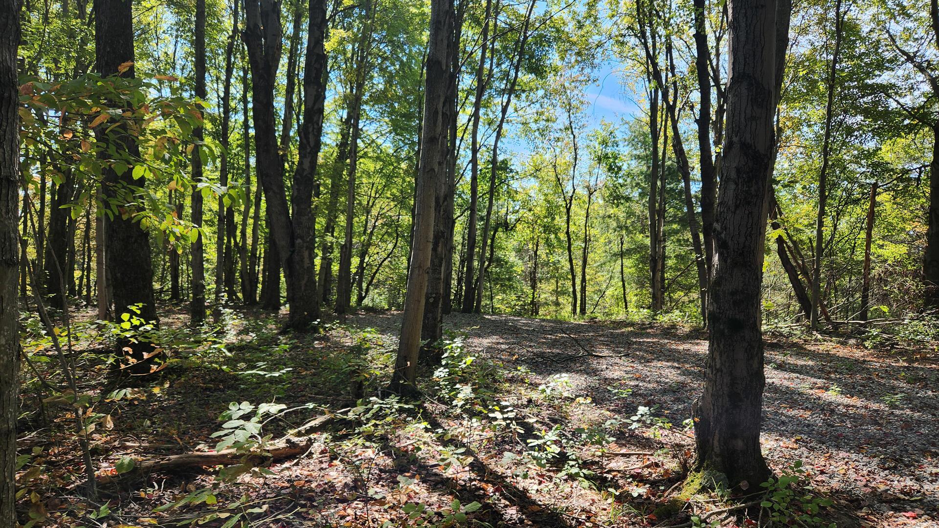 999 Poplar Ridge Road, Unit PONDS POPLAR RIDGE TRACT 15) Gallipolis, OH 45631 - Photo 5 of 34 CT-5