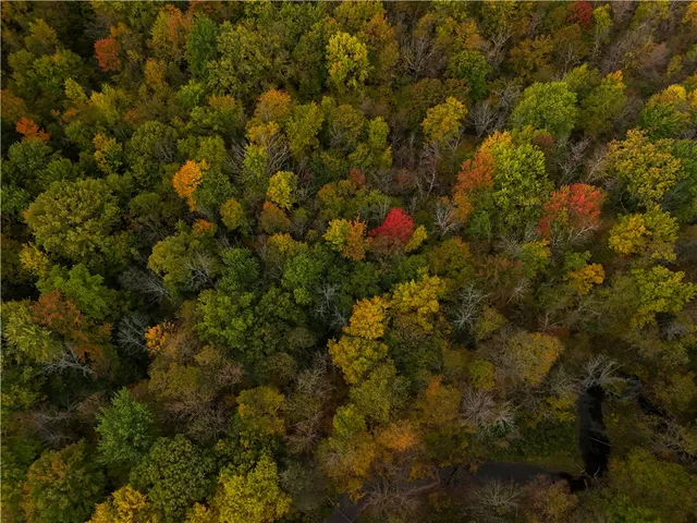 $84,900 | 8096 Highway 104A, Wolcott, NY 13143