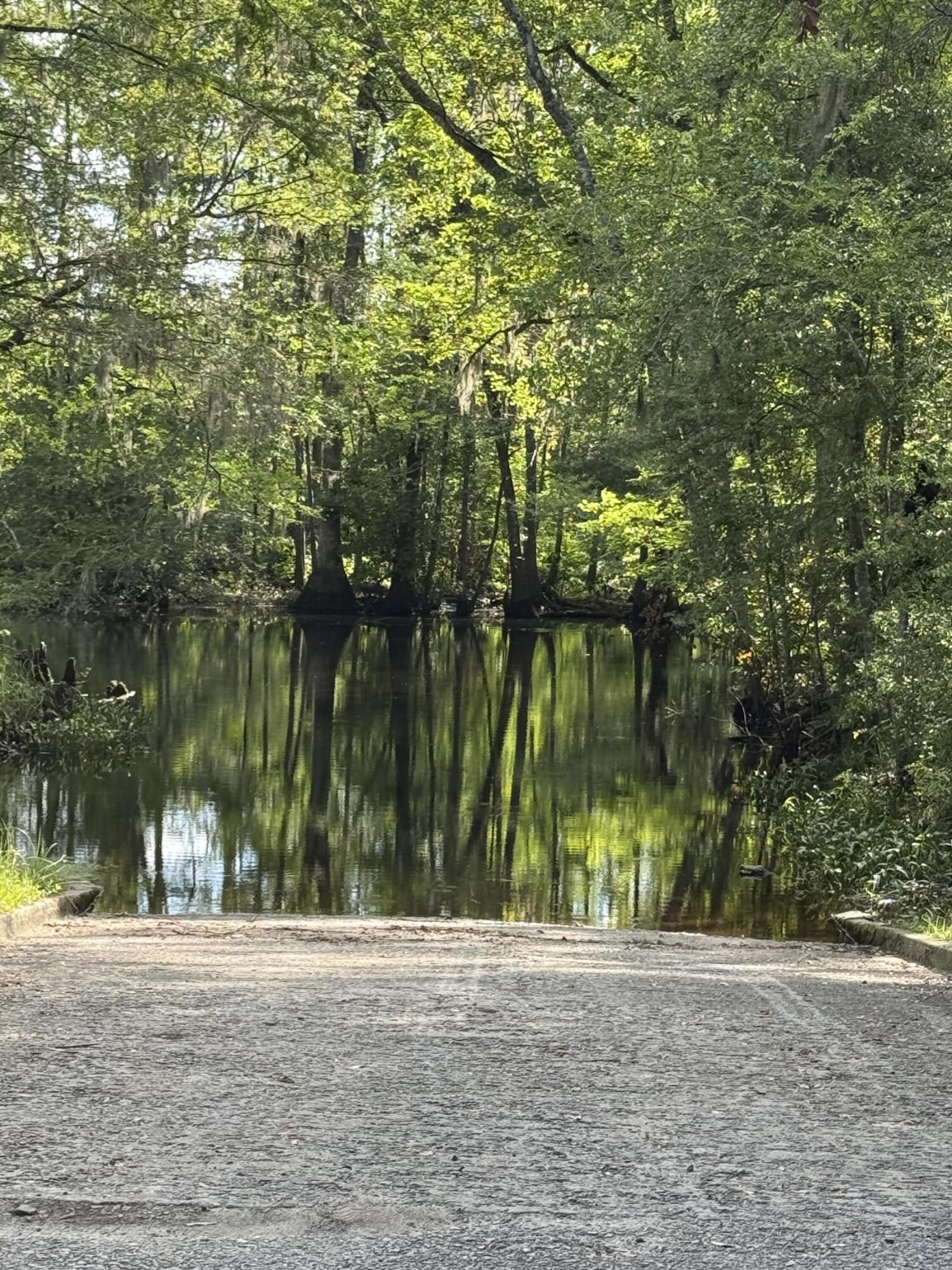 485 Corner Lake Road Early Branch, SC 29916 - Photo 3 of 8 IMG_5152