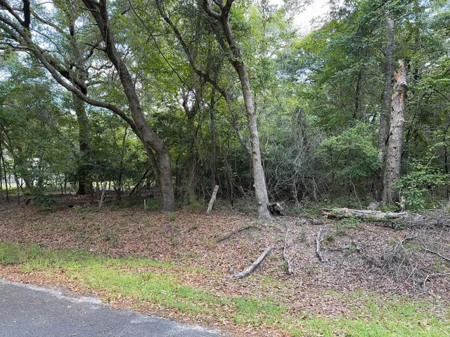 $450,000 | 485 Corner Lake Road, Early Branch, SC 29916