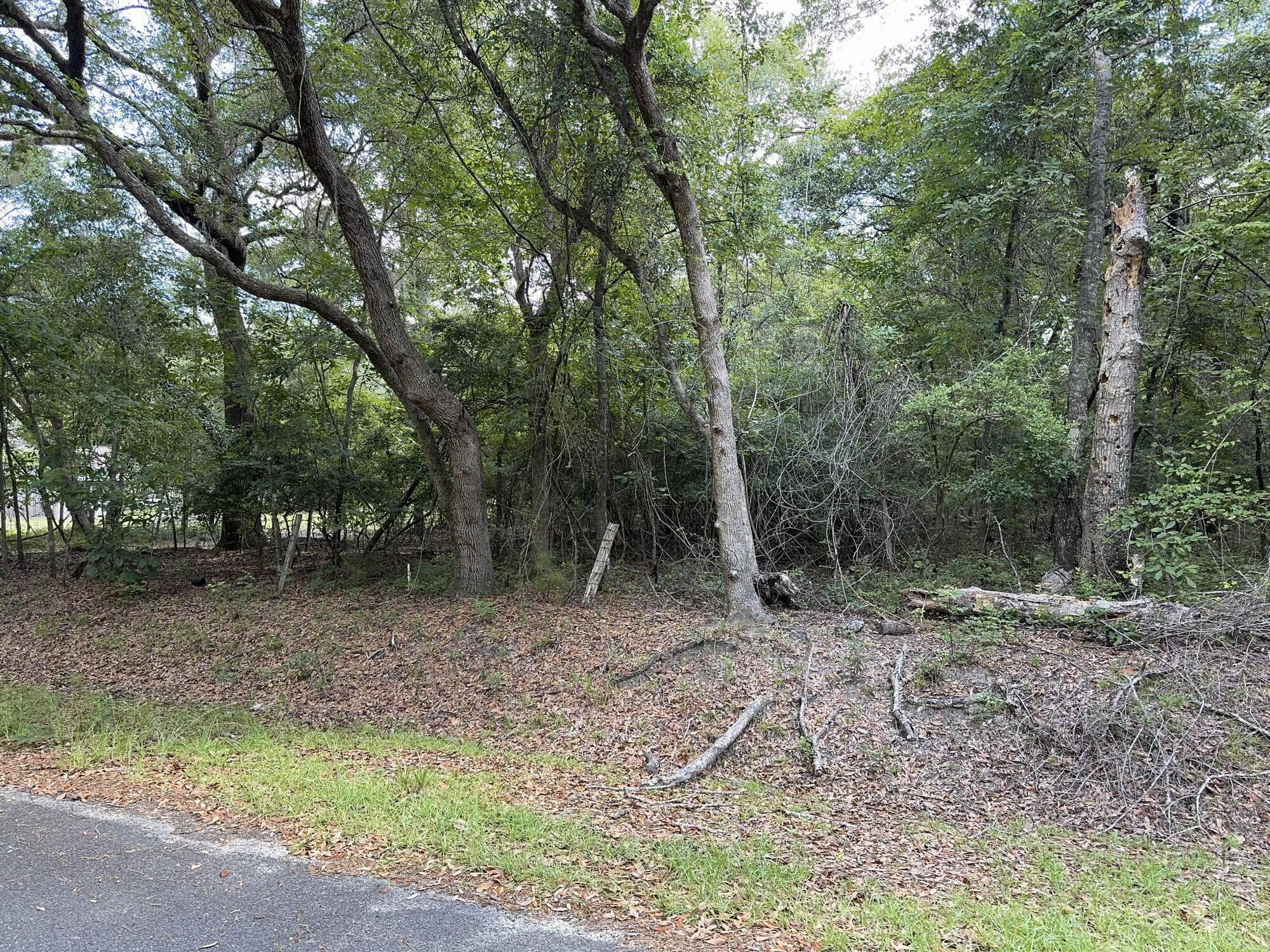 485 Corner Lake Road Early Branch, SC 29916 - Photo 4 of 8 IMG_5154