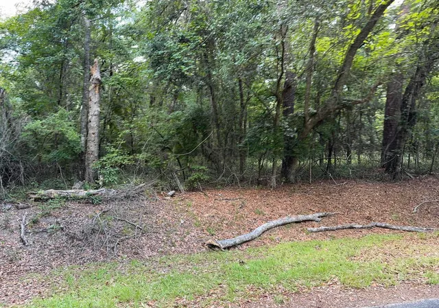 $450,000 | 485 Corner Lake Road, Early Branch, SC 29916