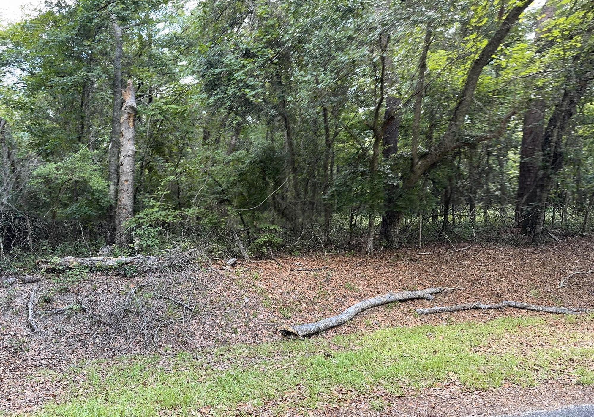 485 Corner Lake Road Early Branch, SC 29916 - Photo 5 of 8 IMG_5155