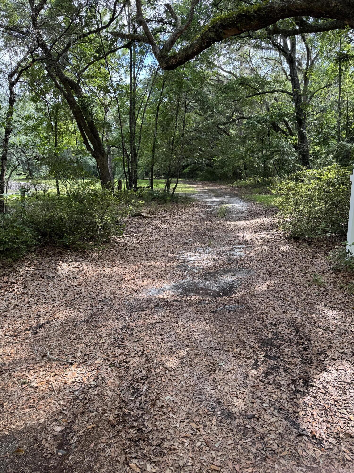 485 Corner Lake Road Early Branch, SC 29916 - Photo 6 of 8 IMG_5157