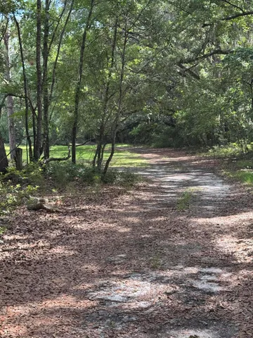 $450,000 | 485 Corner Lake Road, Early Branch, SC 29916