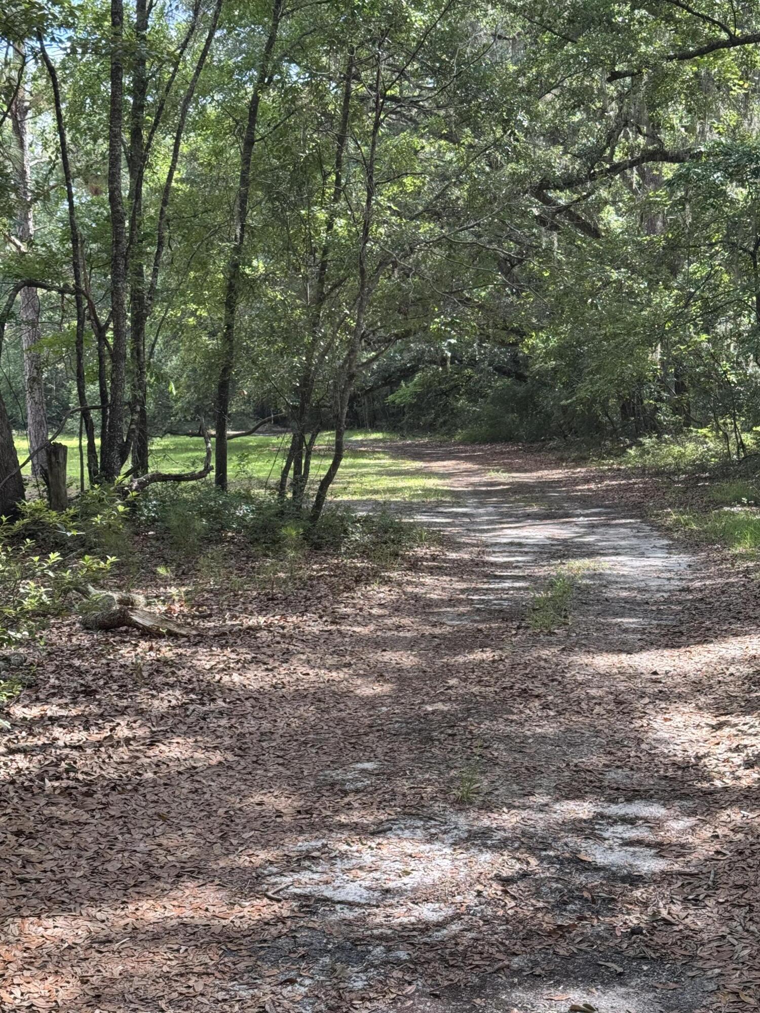 485 Corner Lake Road Early Branch, SC 29916 - Photo 7 of 8 IMG_5160