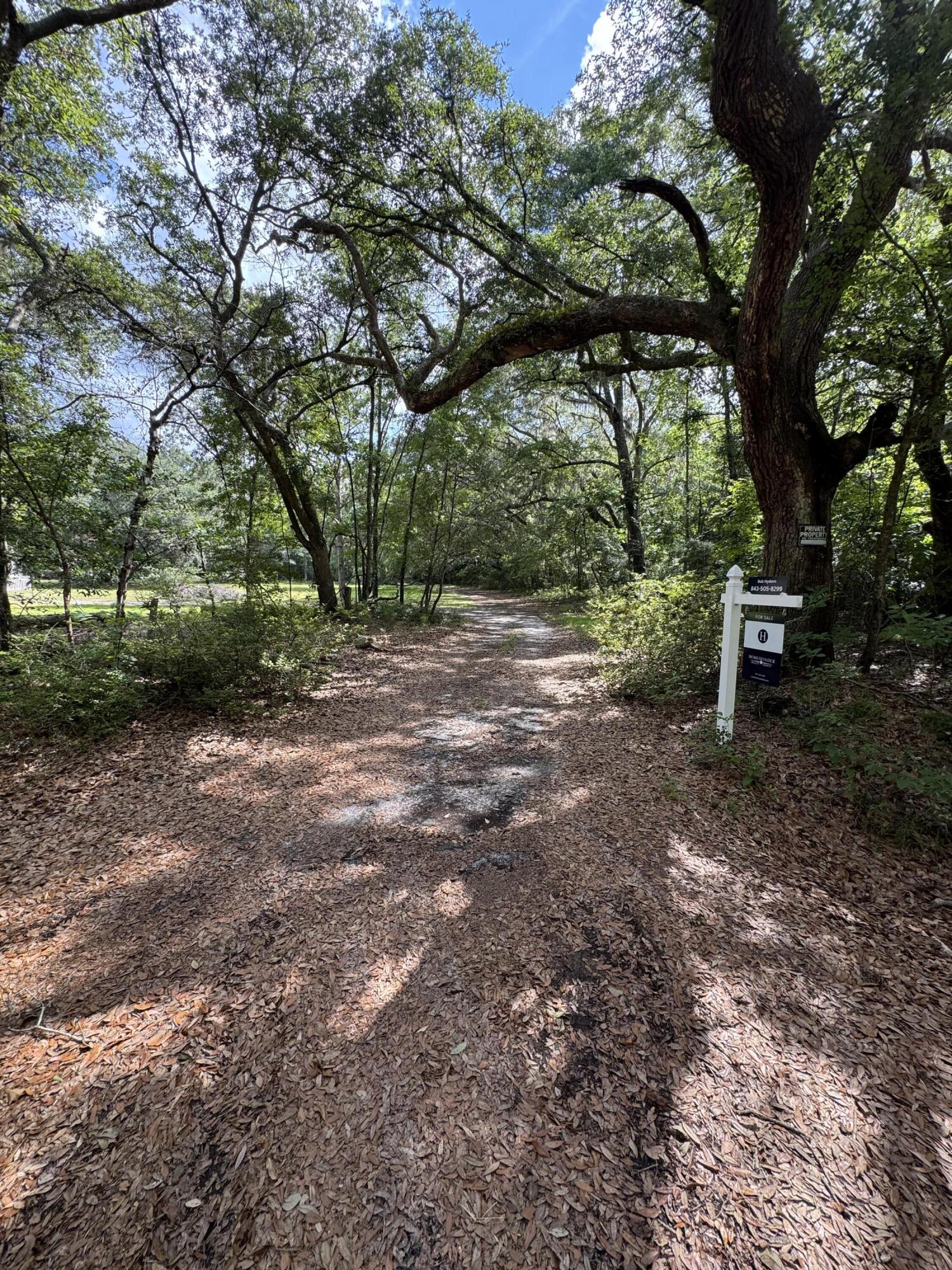 485 Corner Lake Road Early Branch, SC 29916 - Photo 8 of 8 IMG_5161